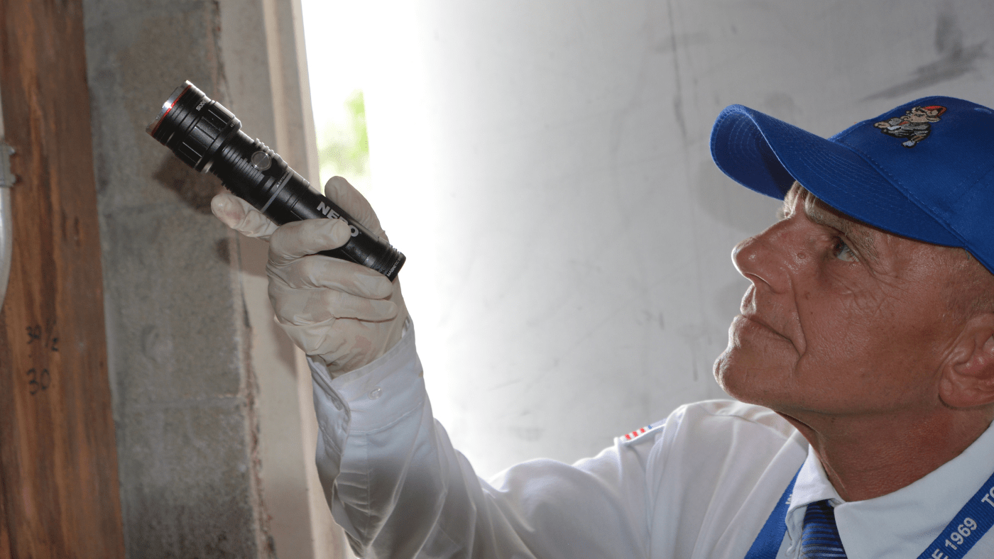 Termite Control - Toro Pest Management