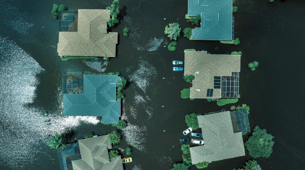 Aerial view of houses surrounded by floodwater in South Florida; streets and yards are submerged, with cars partially underwater and only rooftops and some trees visible above the water, raising concerns about rodent infestations after storms.