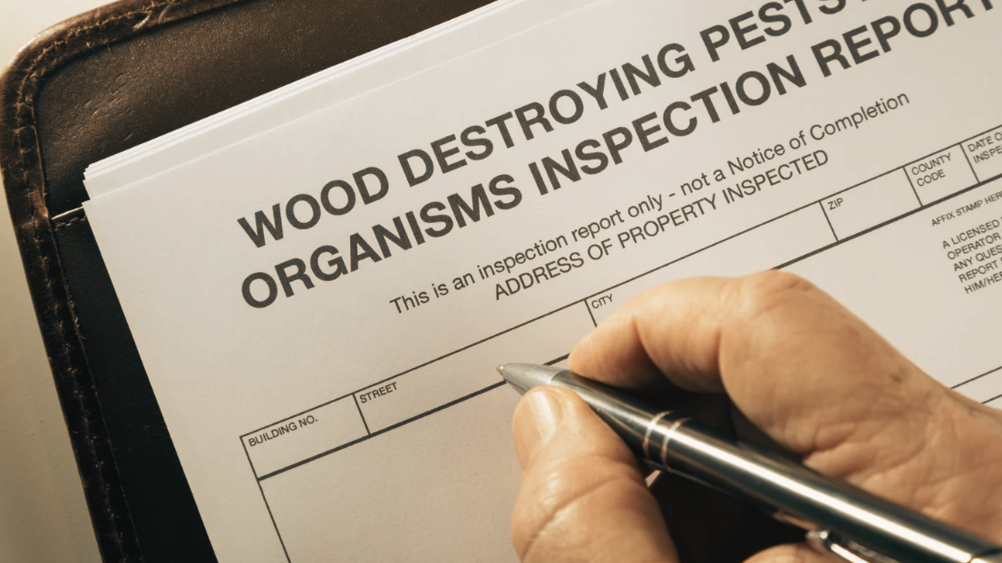 A person fills out a Wood Destroying Pests or Organisms Inspection Report form with a pen on a clipboard, noting key termite prevention steps and homeowner tips to help protect the property from costly damage.